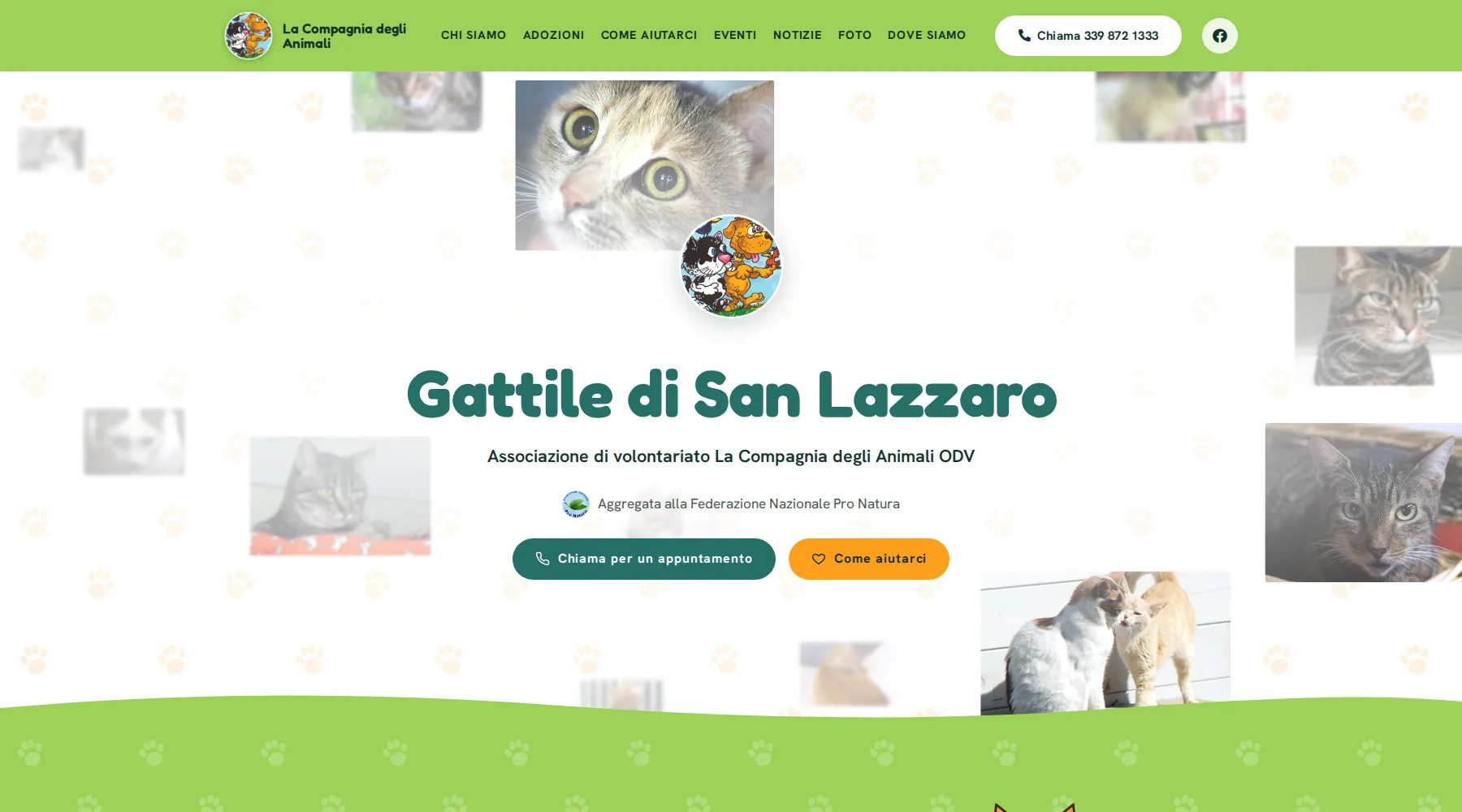 Anteprima del Gattile di San Lazzaro