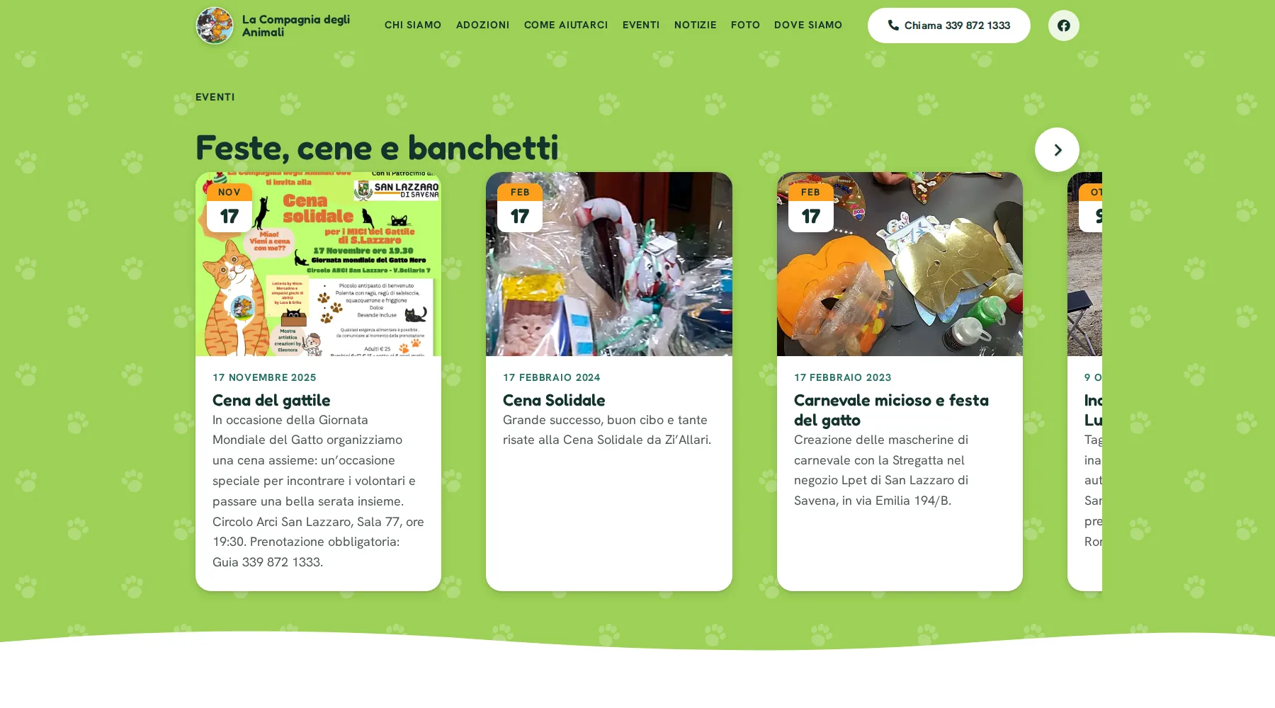 Gattile di San Lazzaro — materiale 3